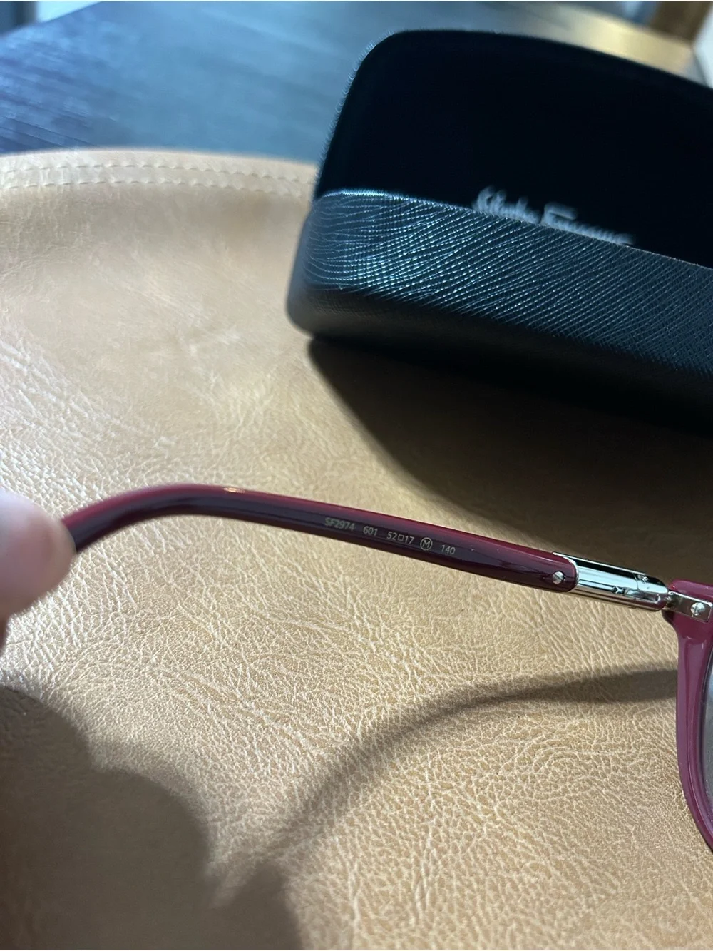 Salvatore Ferragamo stylish cat