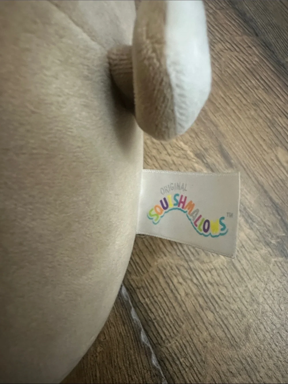 Squishmallows cute tan