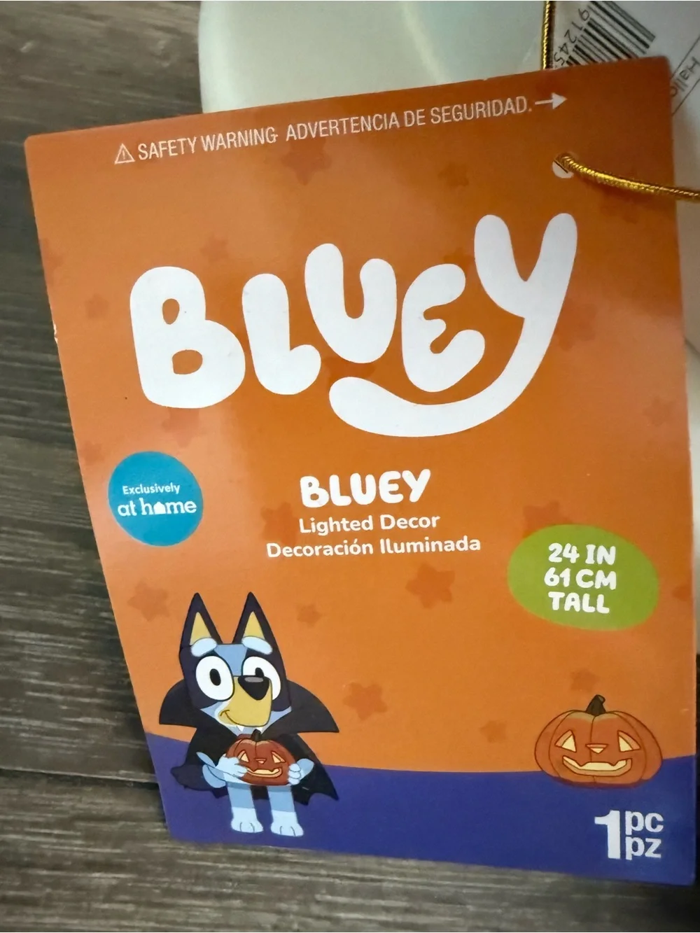 Bluey lighted halloween