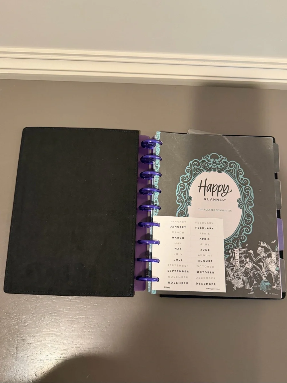 Happy Planner accents spreads includes