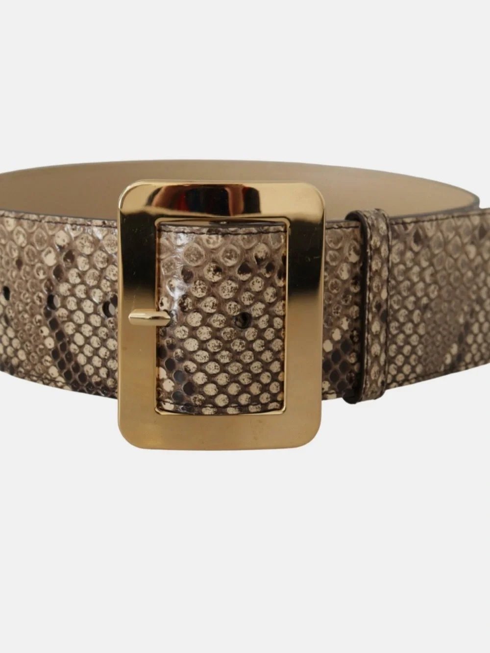 Dolce & Gabbana *rare* dolce
