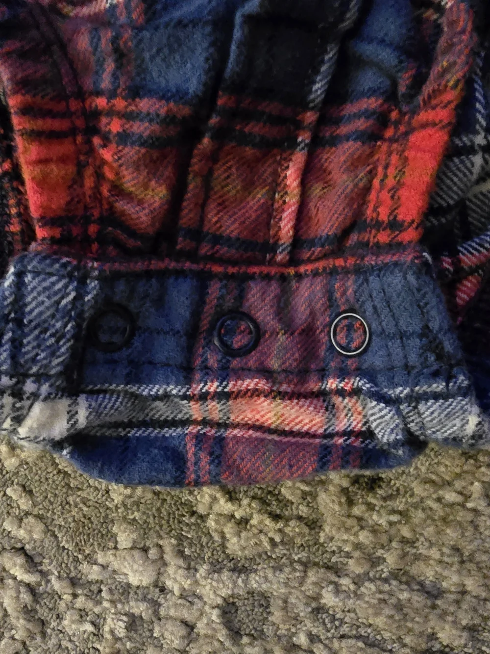 Carters perfect button by