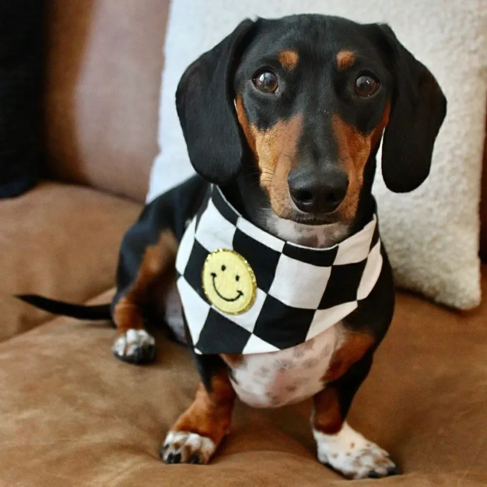 The Avril Checkered Dog Bandana Black and White