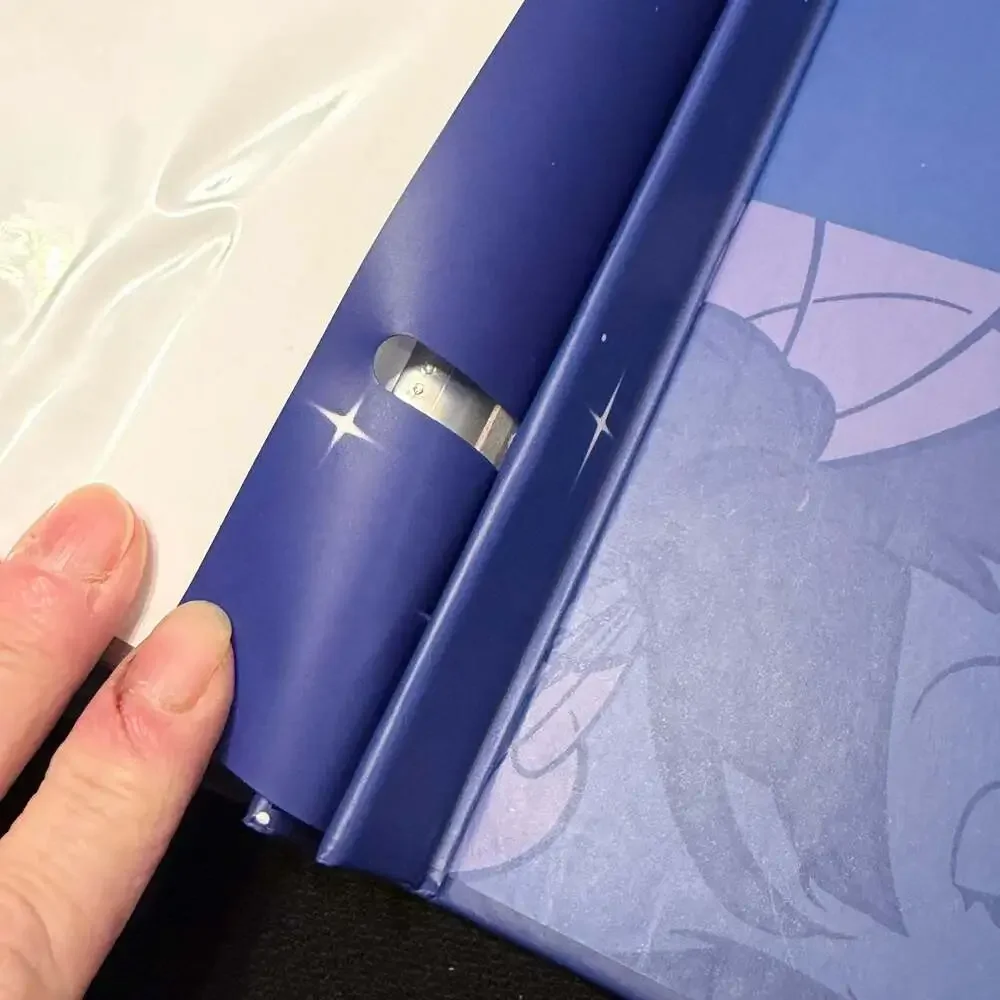 Sandylion new box