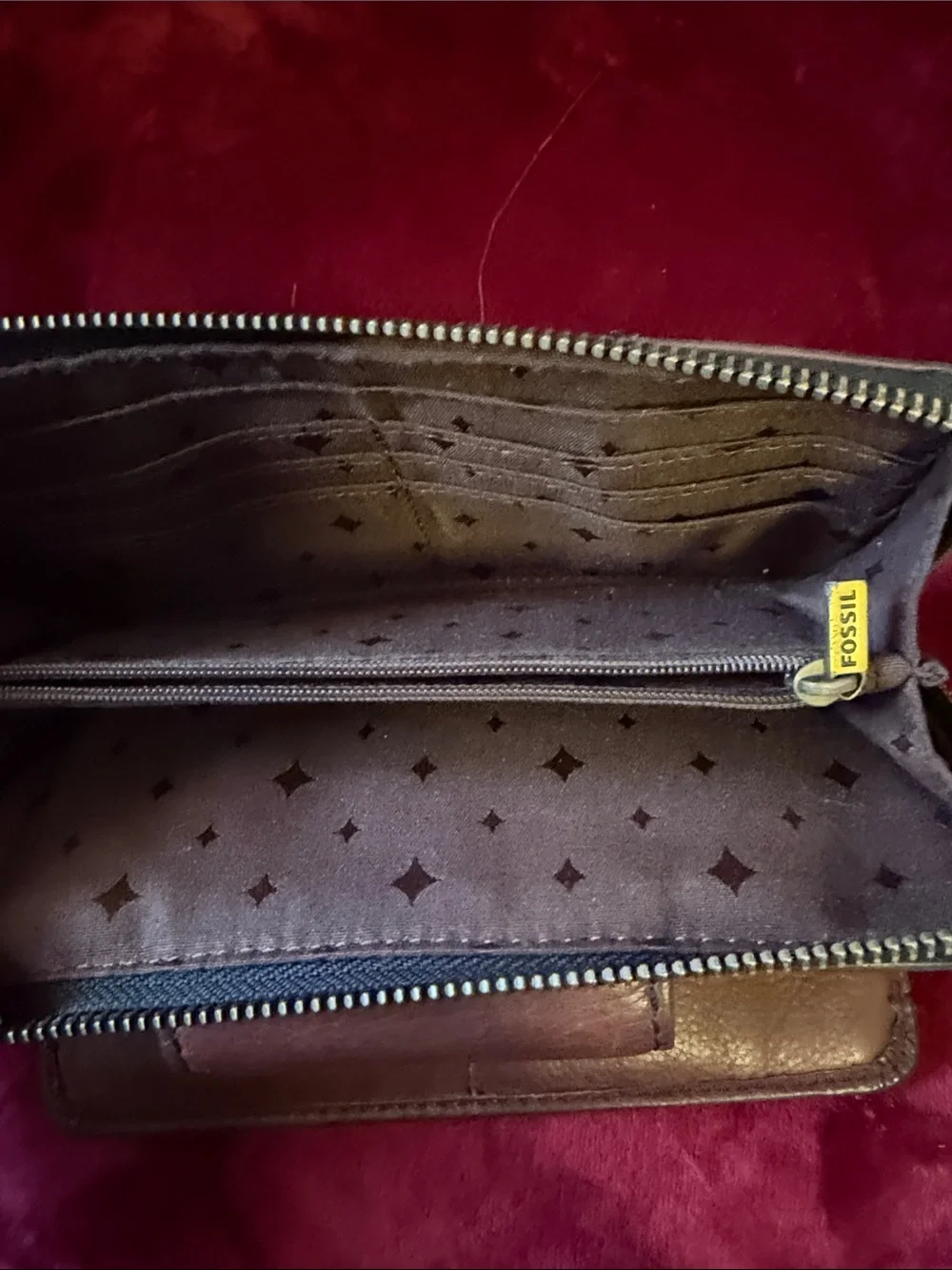 Fossil explorer clutch