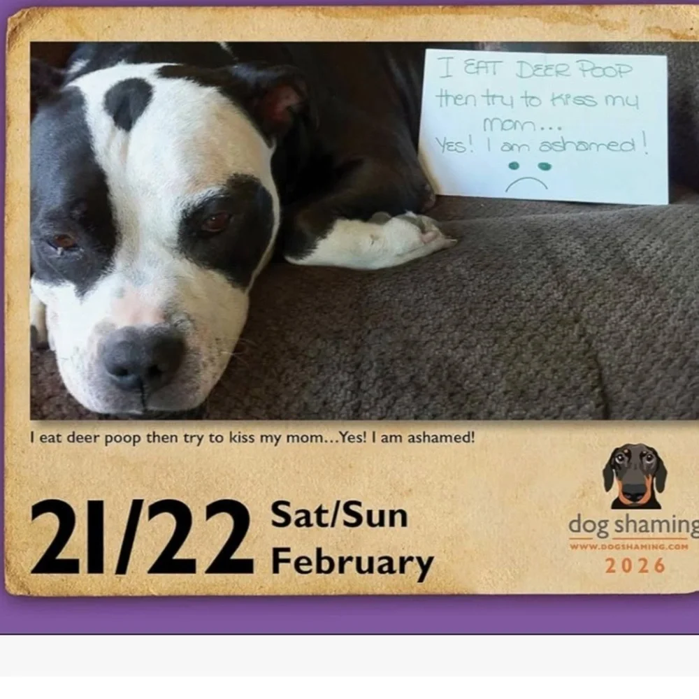 andrews mcmeel publishing dog shaming