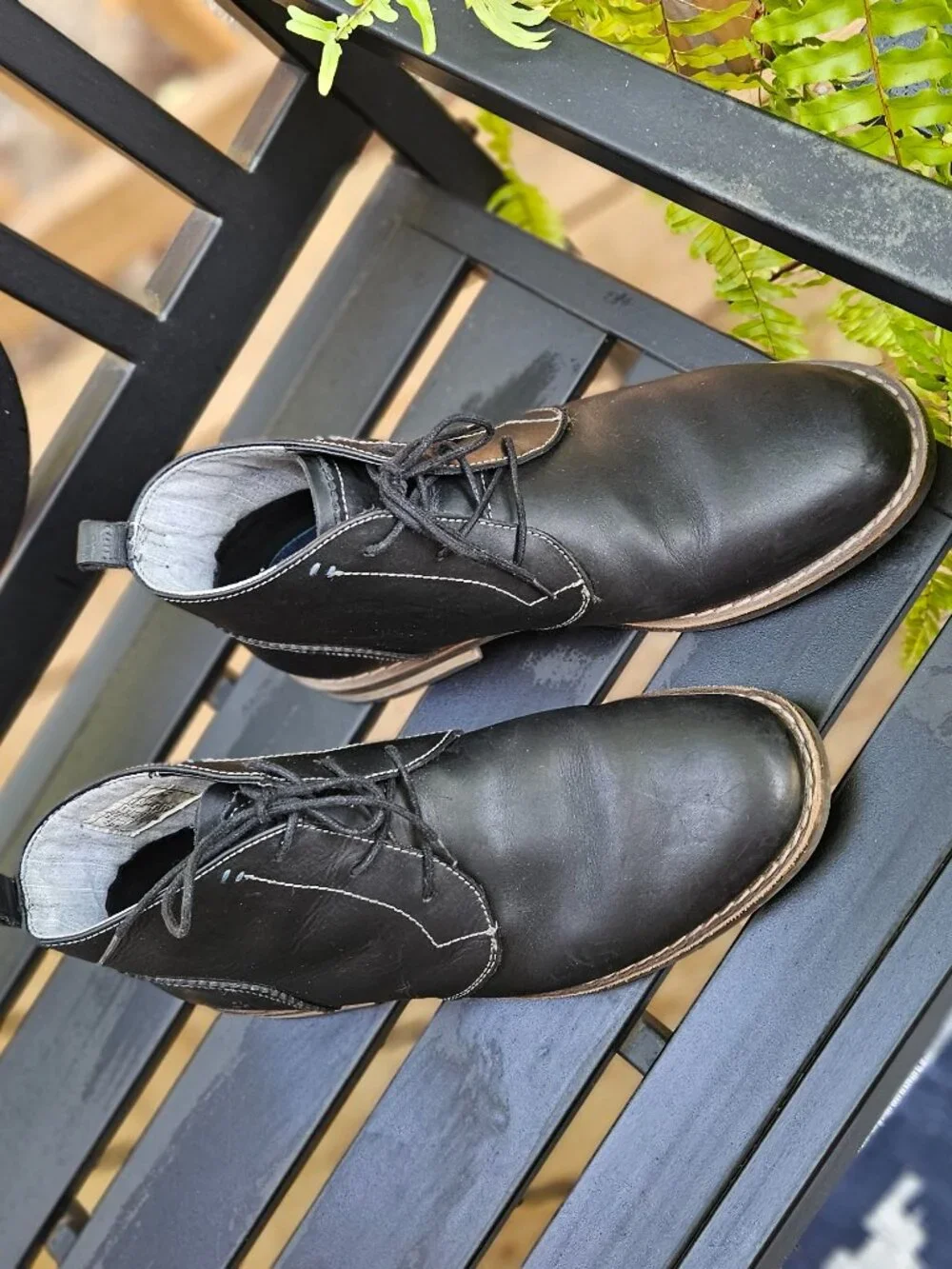 Original Penguin stunning chukkas