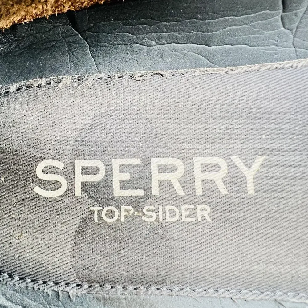Sperry shoes mens