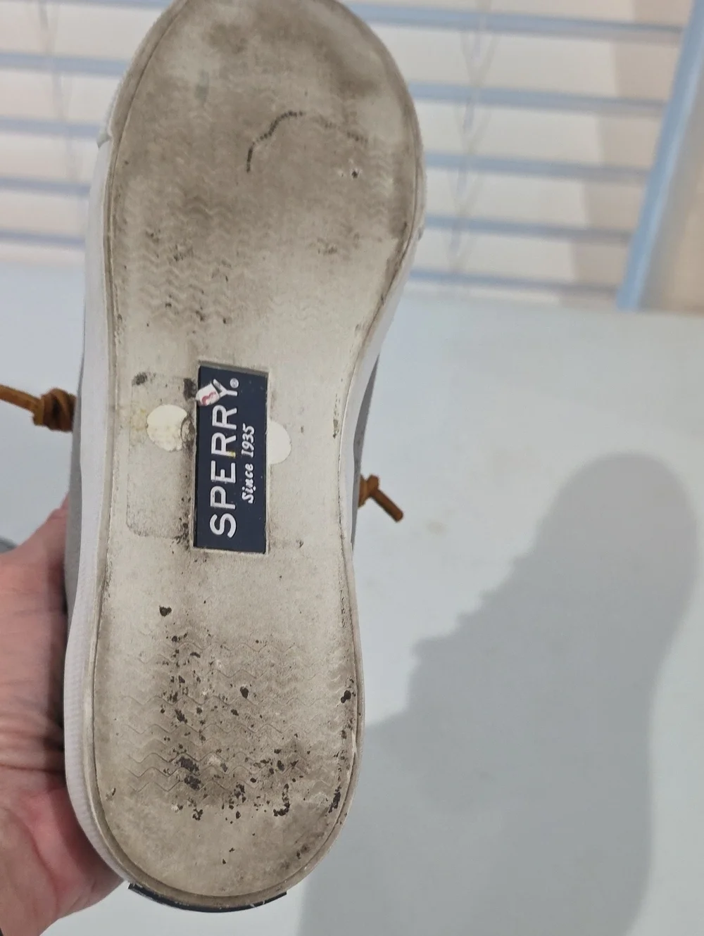 Sperry women pier