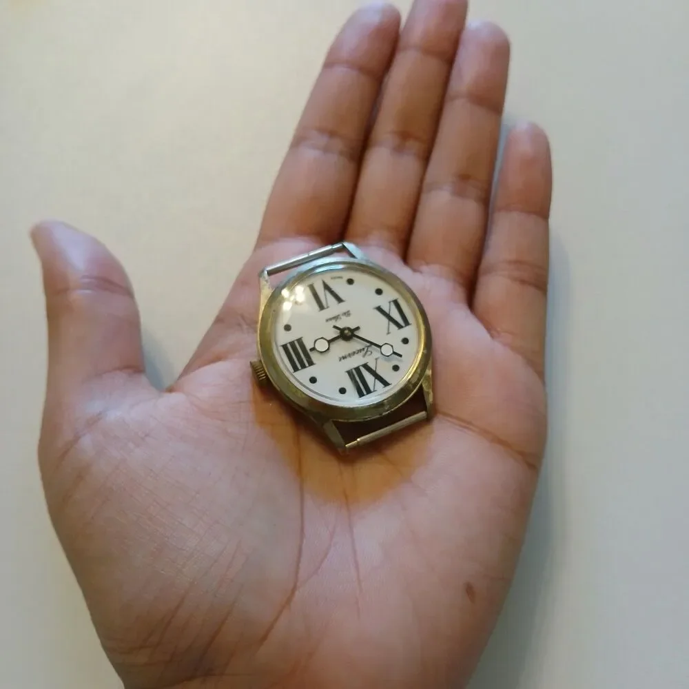 Lucerne watch runs
