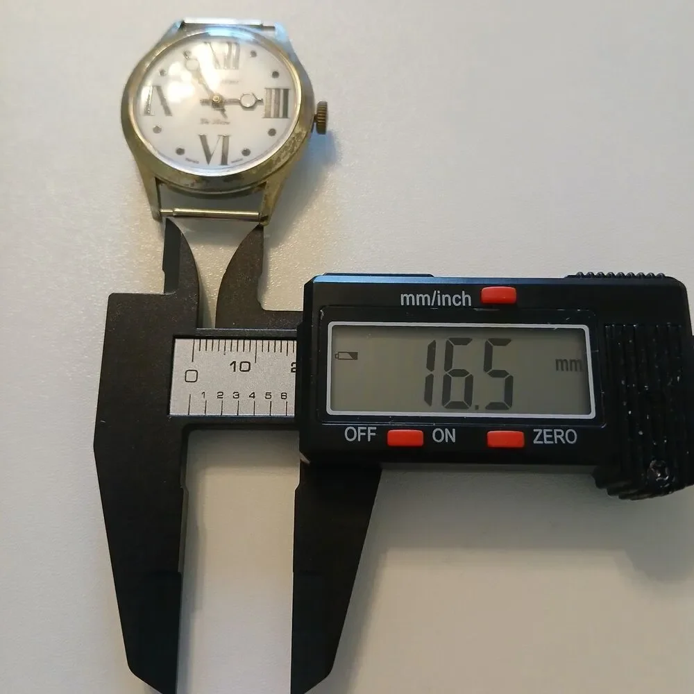 Lucerne watch runs