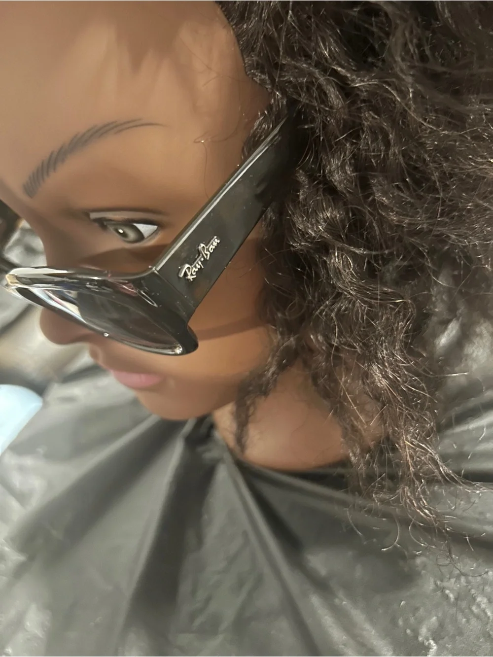 Ray-Ban sleek cat