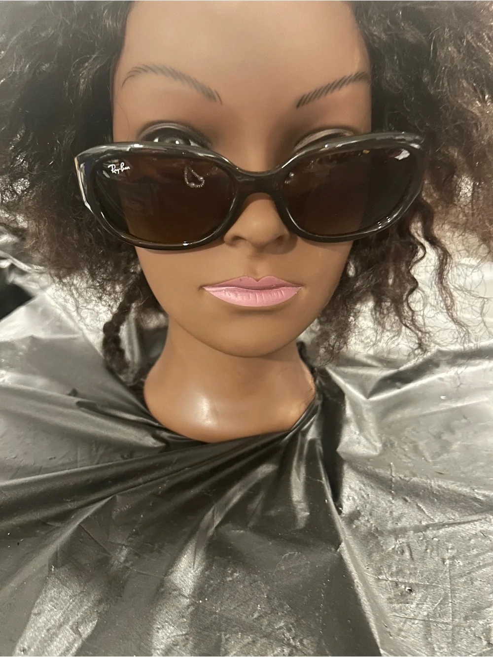 Ray-Ban sleek cat