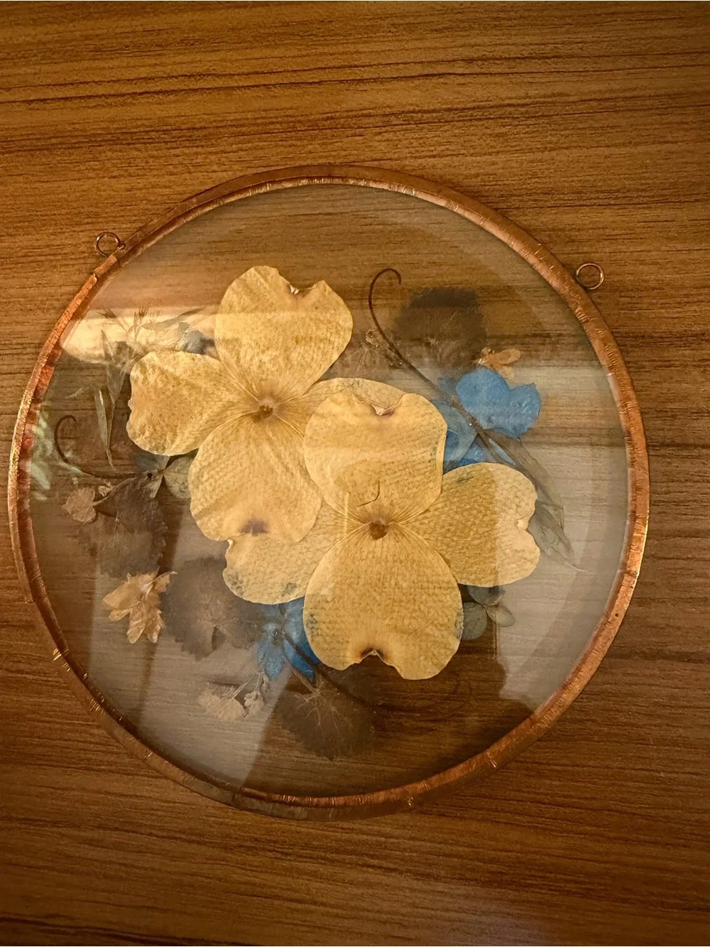 Vintage Pressed Flower Glass Suncatcher Frame 6