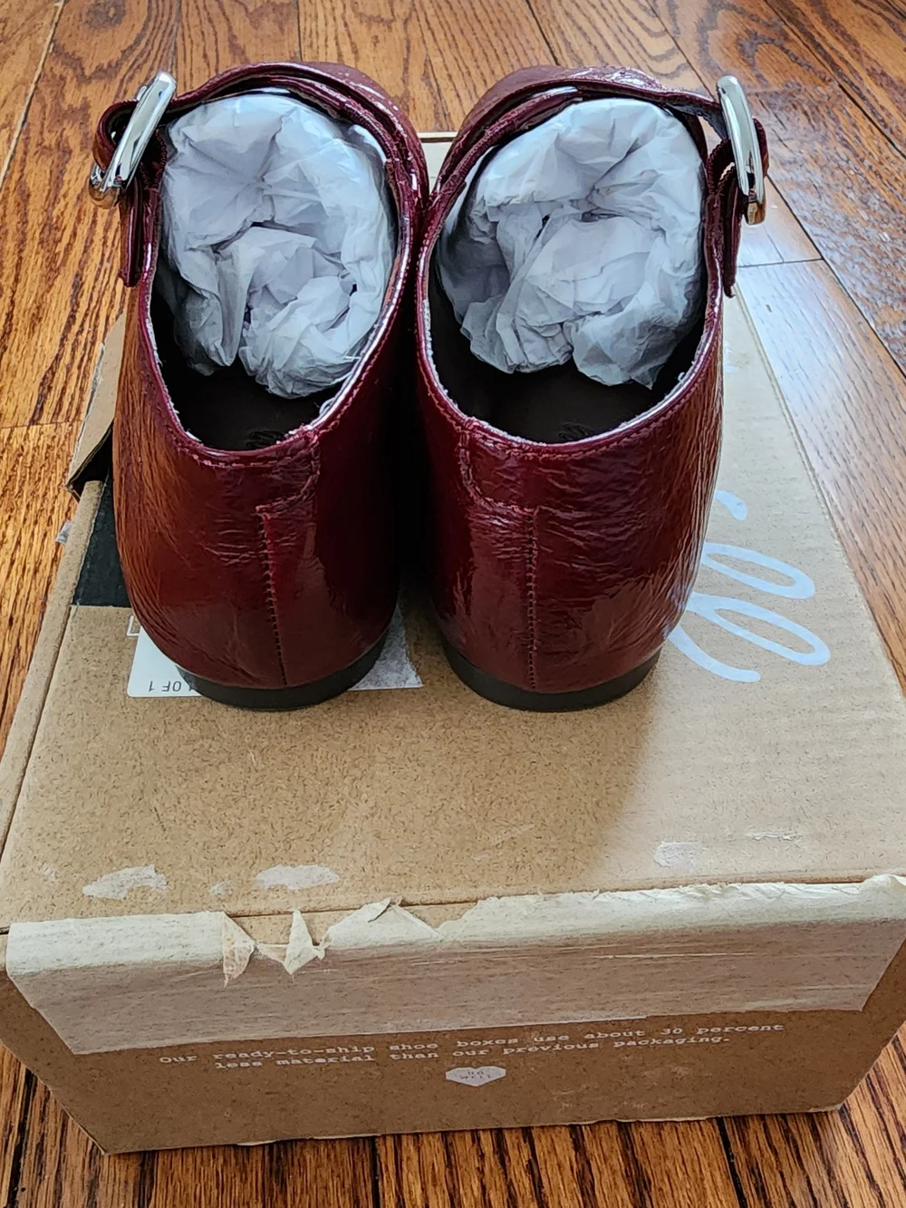 Madewell Remy Crinkled Patent Leather Mary Jane Flat 7 Wine Burgundy Balletcore