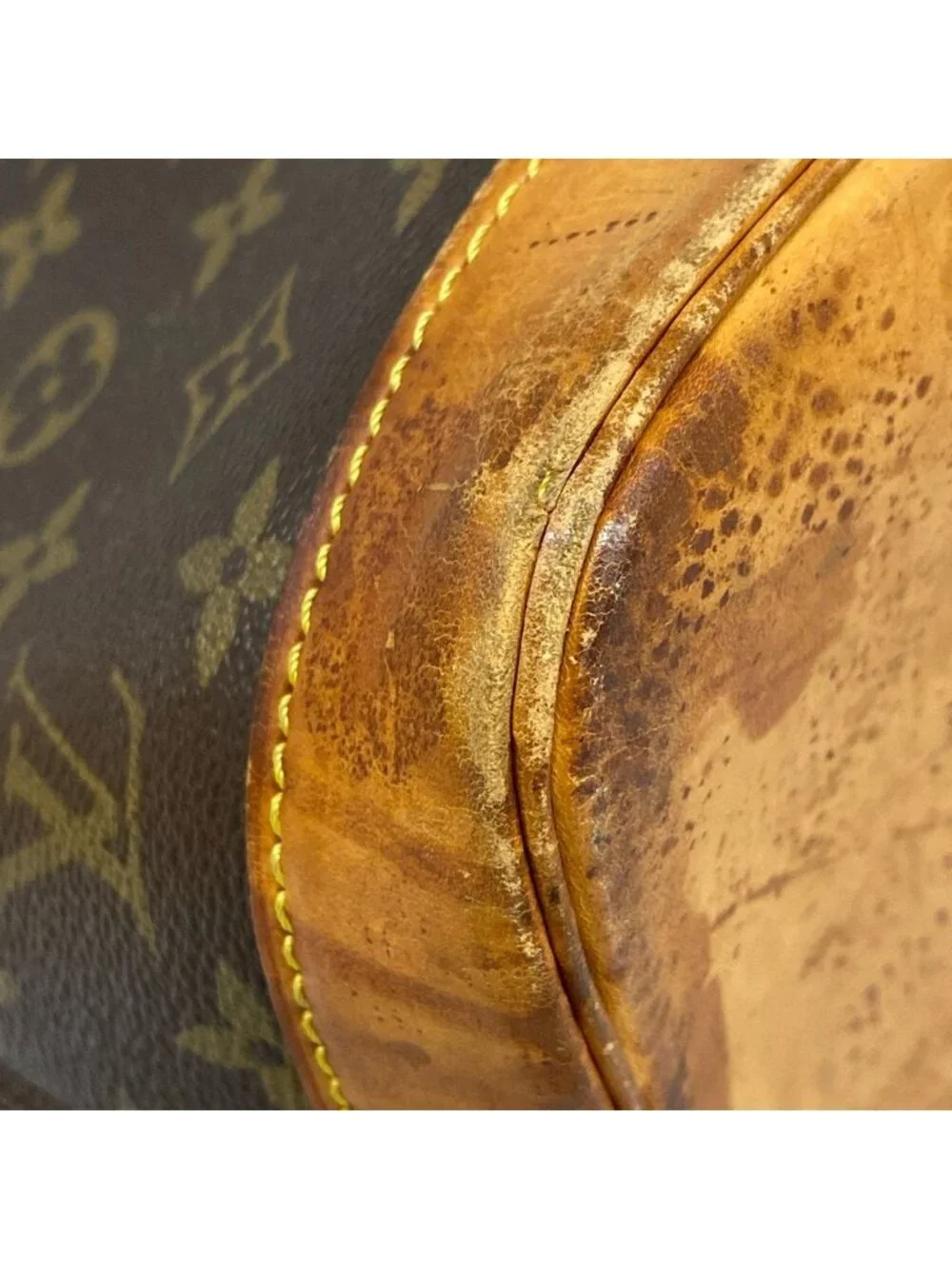 Louis Vuitton category handbag
