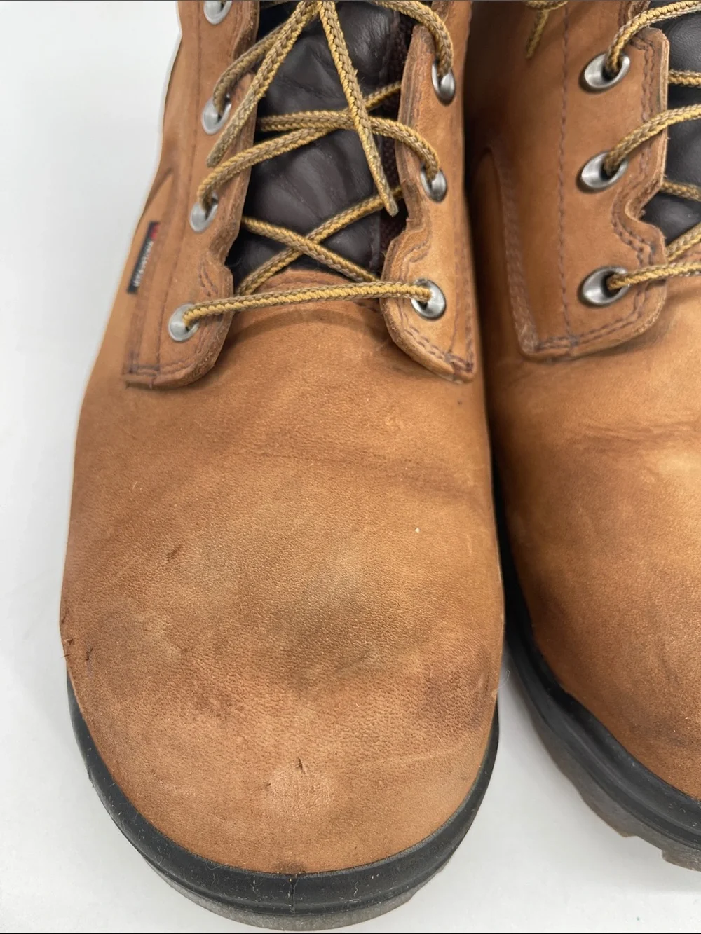 Red Wing great light