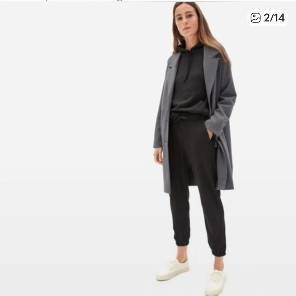 Everlane dream coat