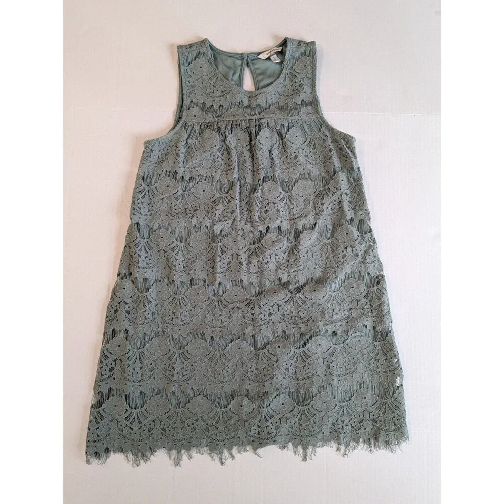 Speechless A-Line Dress Size Small Sage Floral Pattern Lace over Knit Lining