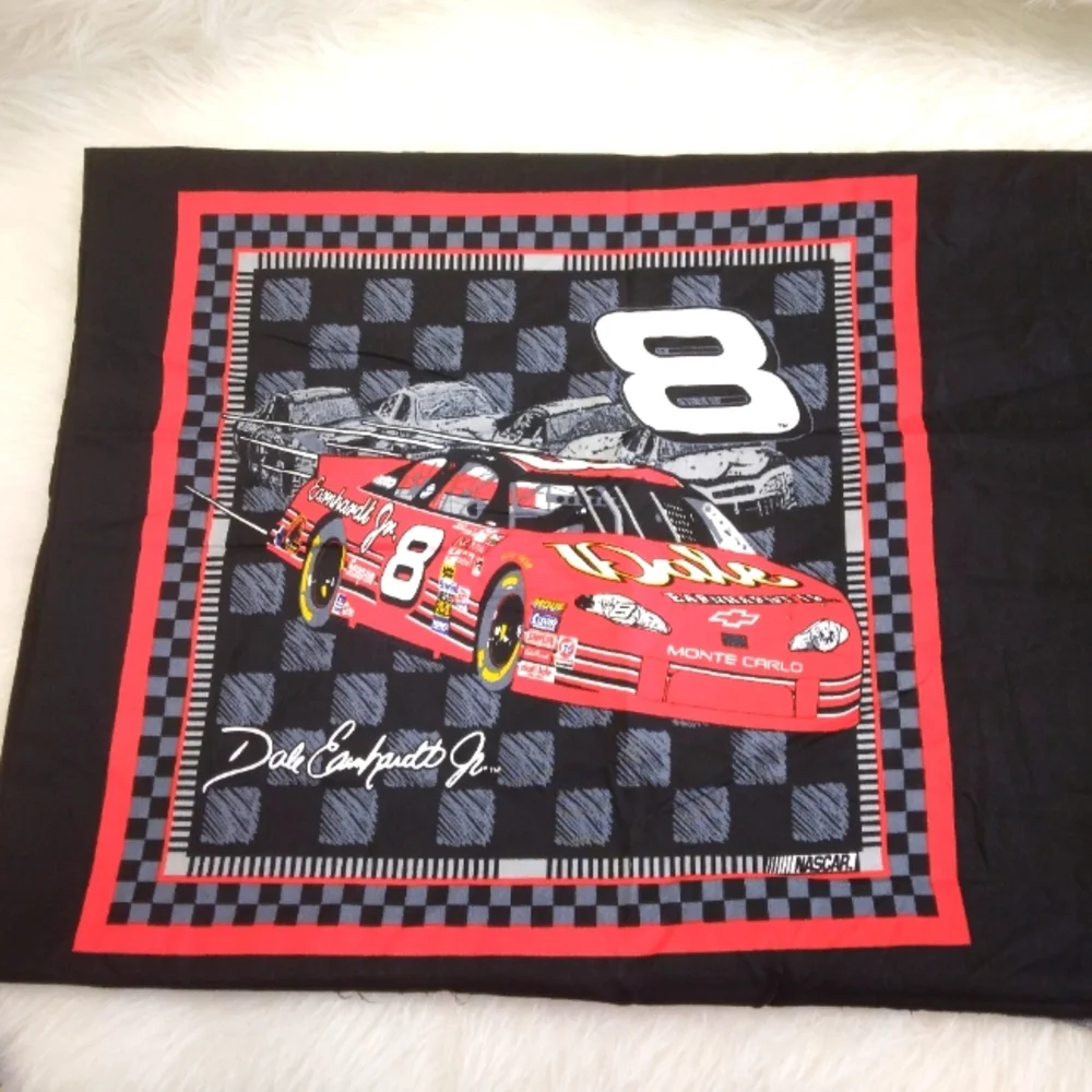 FABRIC PILLOW PANELS NASCAR Dale Earnhardt Jr. #8 car pillow panels 6 panels