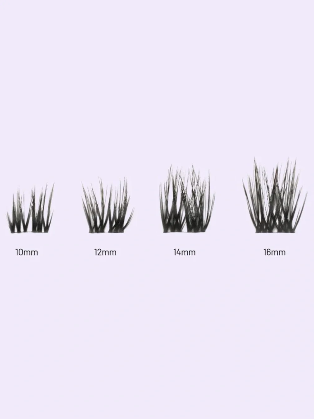 Lilac nwt lash