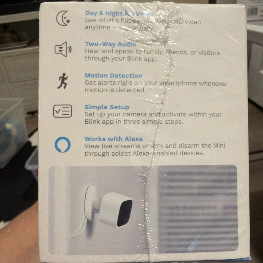 Blink mini indoor