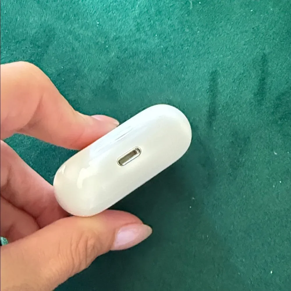 Apple buds case