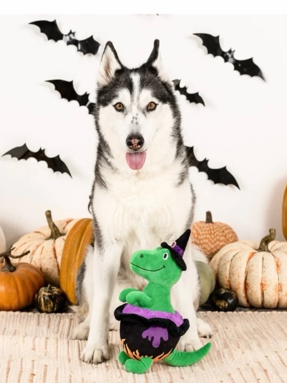 🆕 Fringe Studio Stirring The Pot Rexy Dog Toy