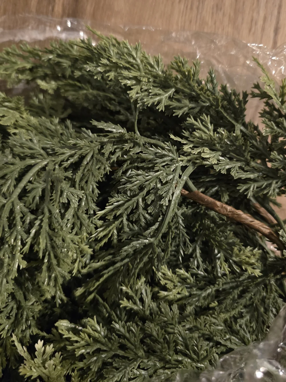 Source Unknown lush pine