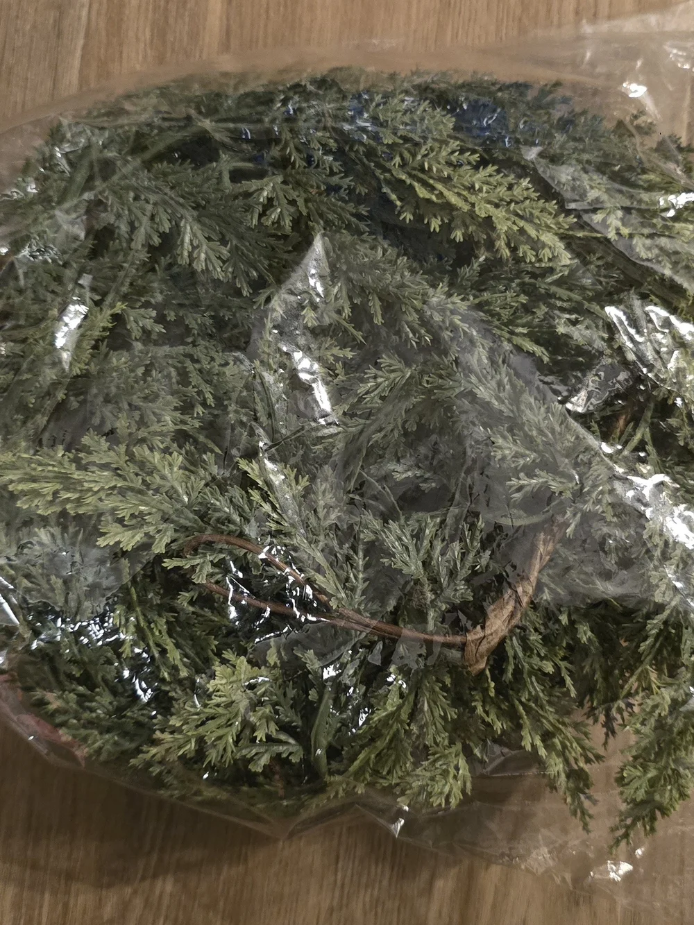 Source Unknown lush pine