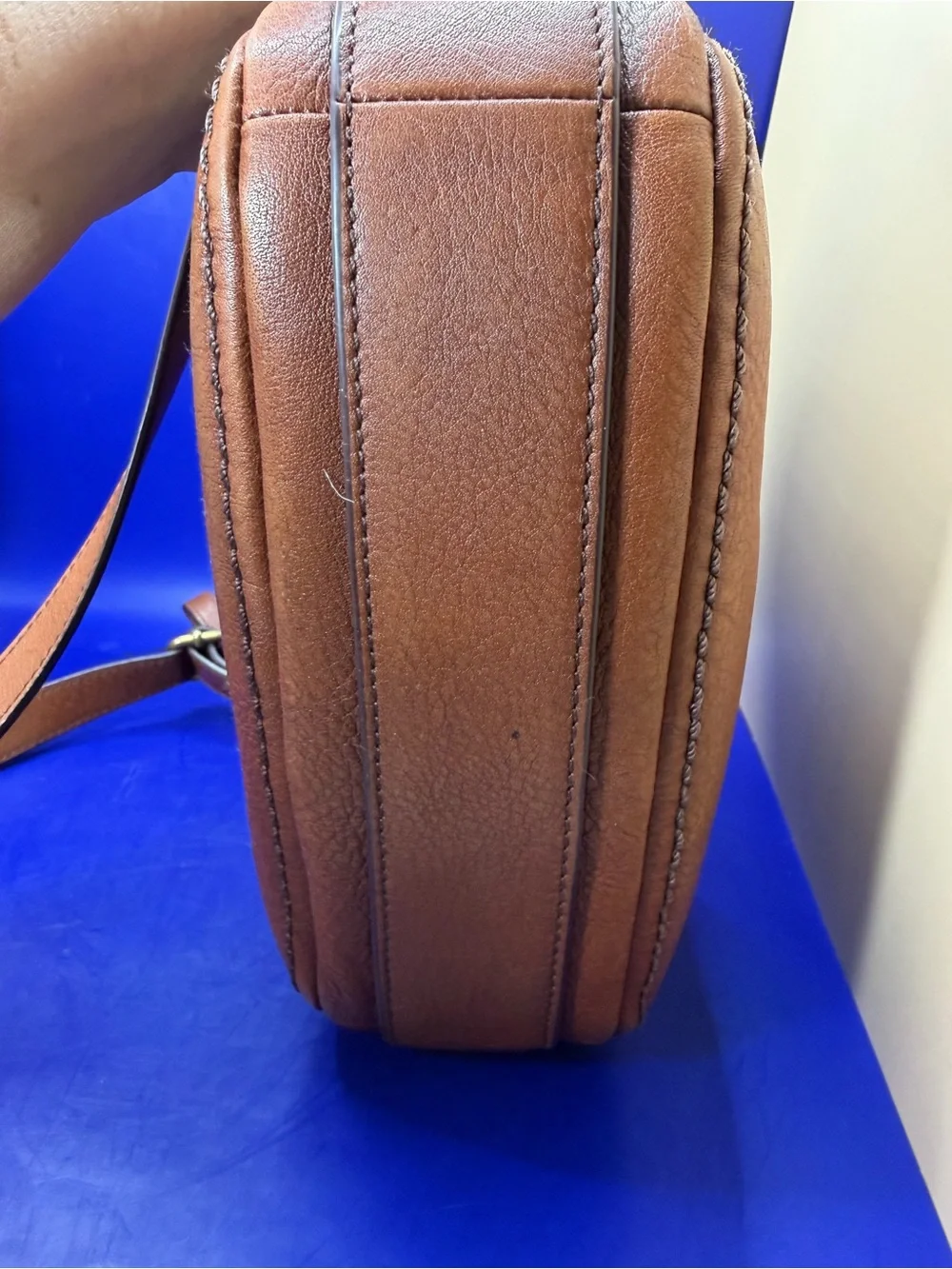 Fossil “elle” small
