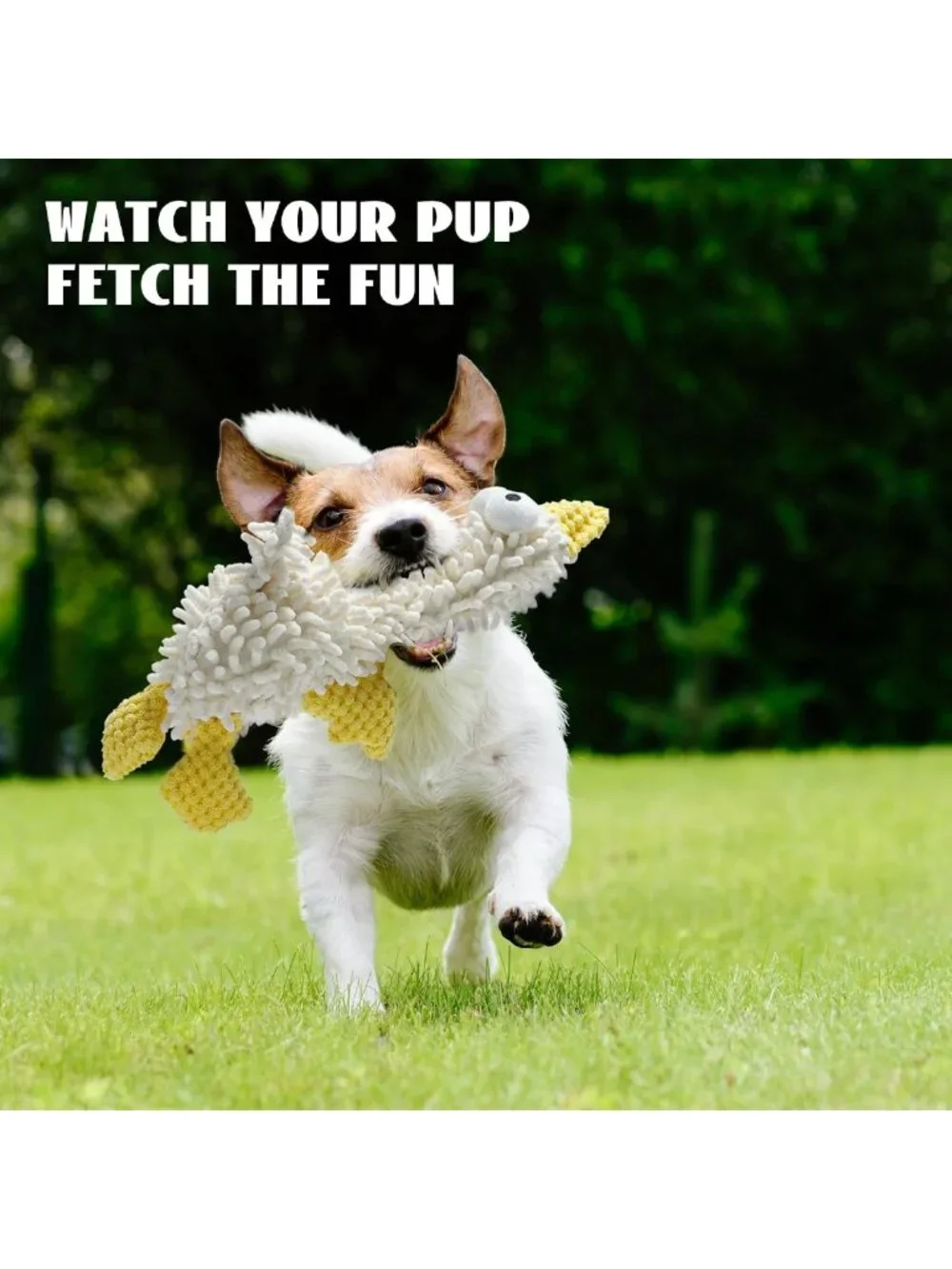 5 Pack Plush Squeaky Dog Toys - Soft Crinkle Chew Toys for Small & Medium Breeds