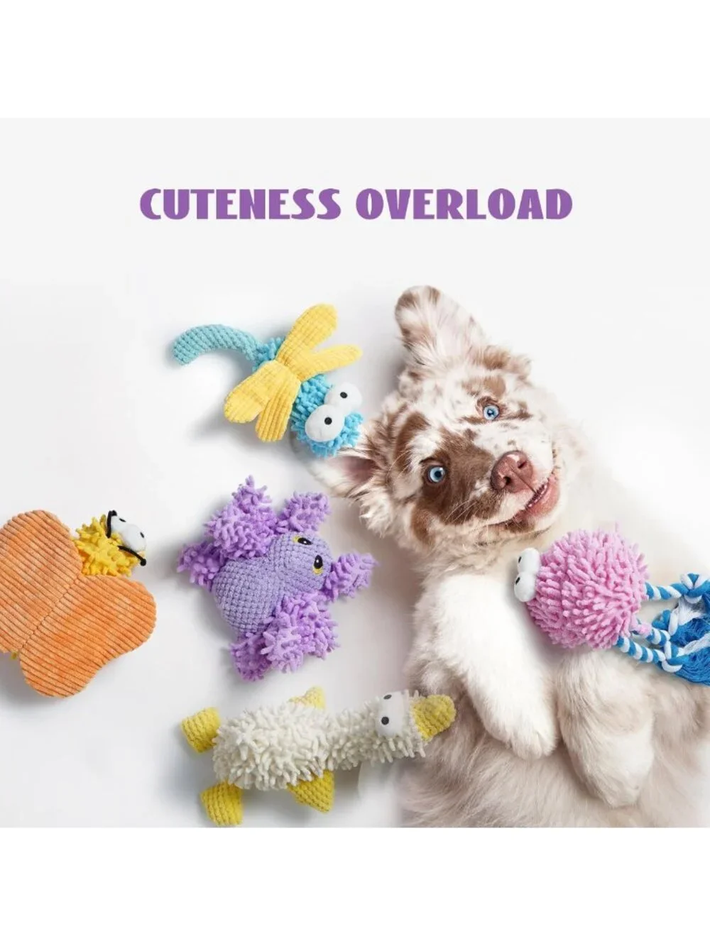 5 Pack Plush Squeaky Dog Toys - Soft Crinkle Chew Toys for Small & Medium Breeds
