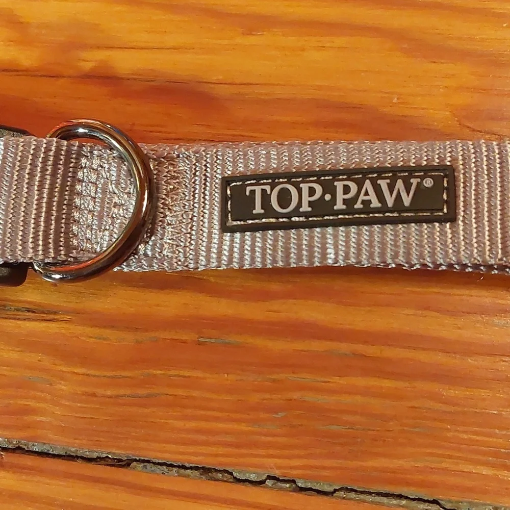 Nylon Dog Collar