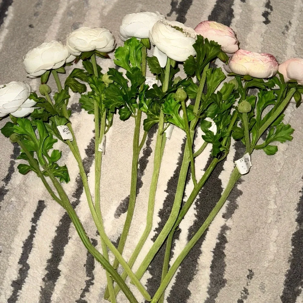 Z Gallerie stems from boasts