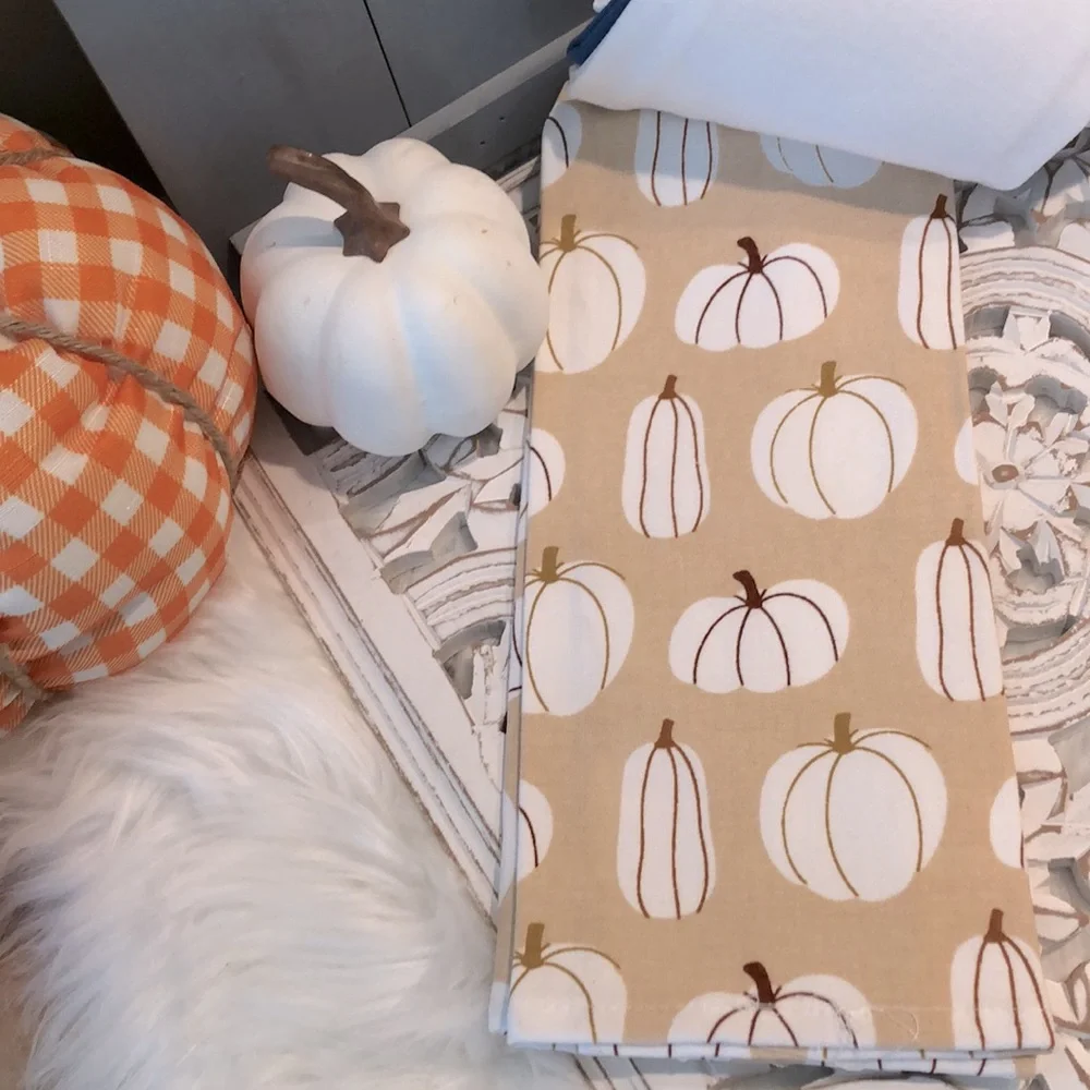 Target Bullseye’s Playground Fall Autumn Halloween Thanksgiving Dish Towel Set