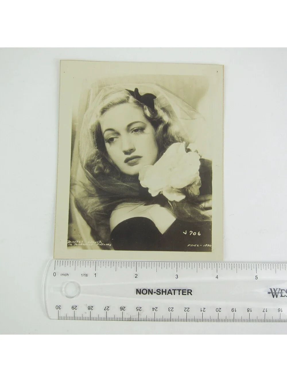 N/A dorothy lamour