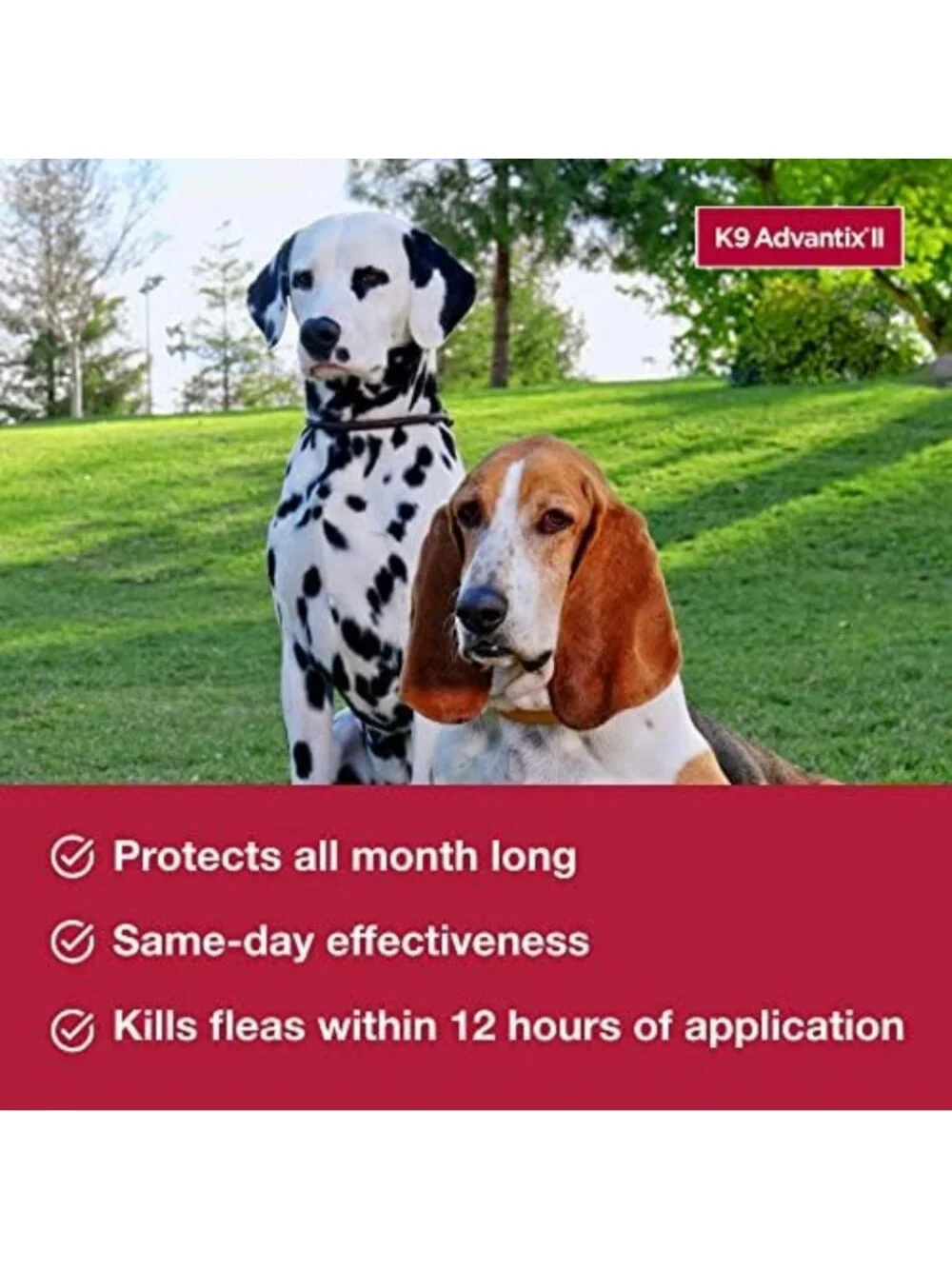 Vet-Recommended Flea, Tick & Mosquito Treatment for Large Dogs 21-55 lbs - 4-Mo