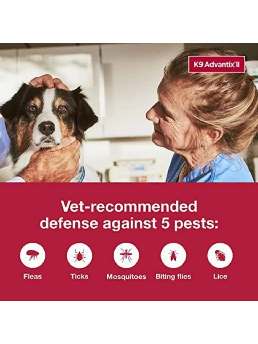 Vet-Recommended Flea, Tick & Mosquito Treatment for Large Dogs 21-55 lbs - 4-Mo