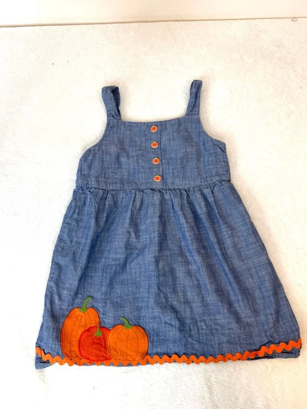 Gymboree chambray autumn