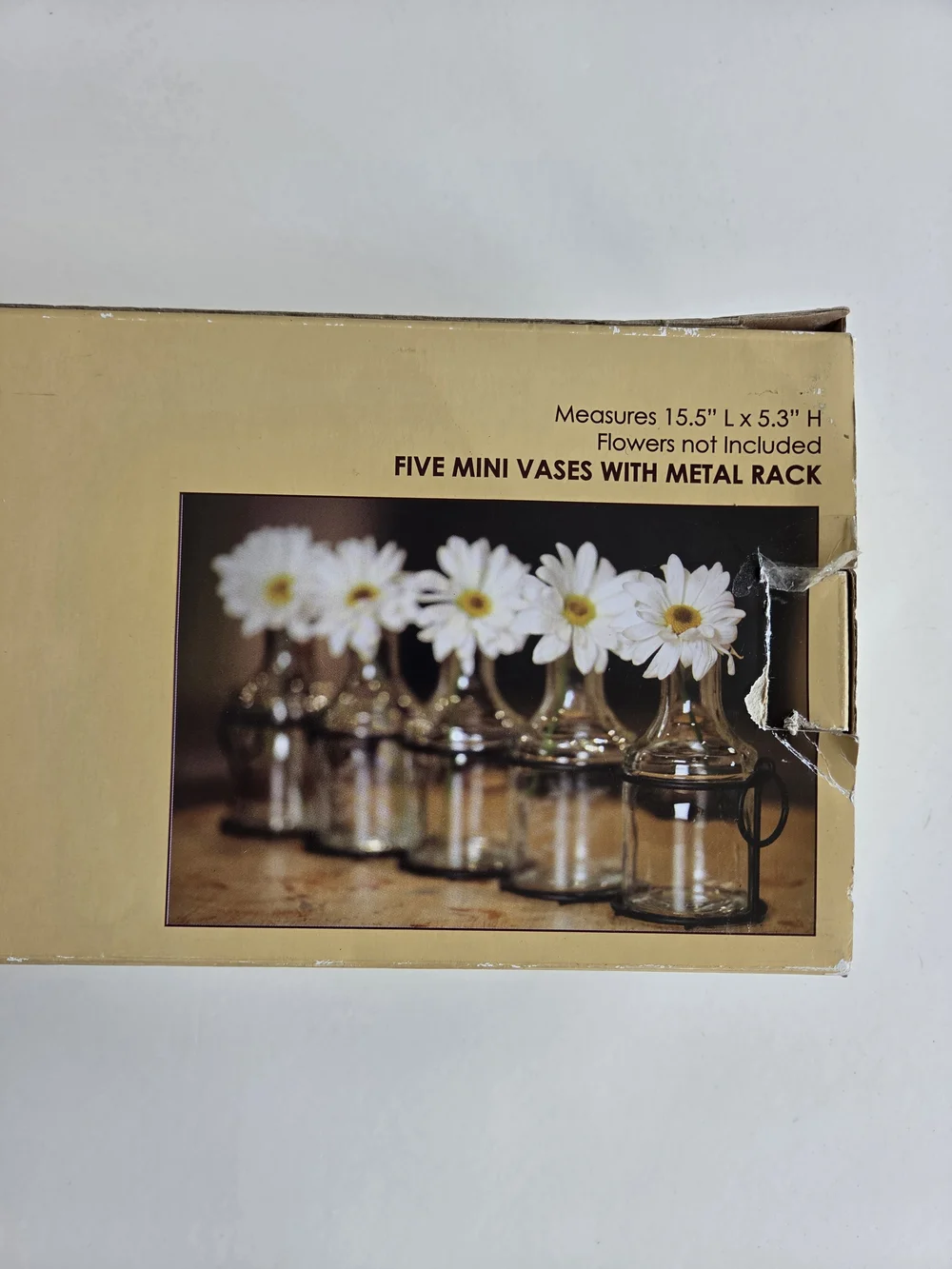 Kirkland's 5 Clear Glass Mini Vases with Black Metal Rack NWT