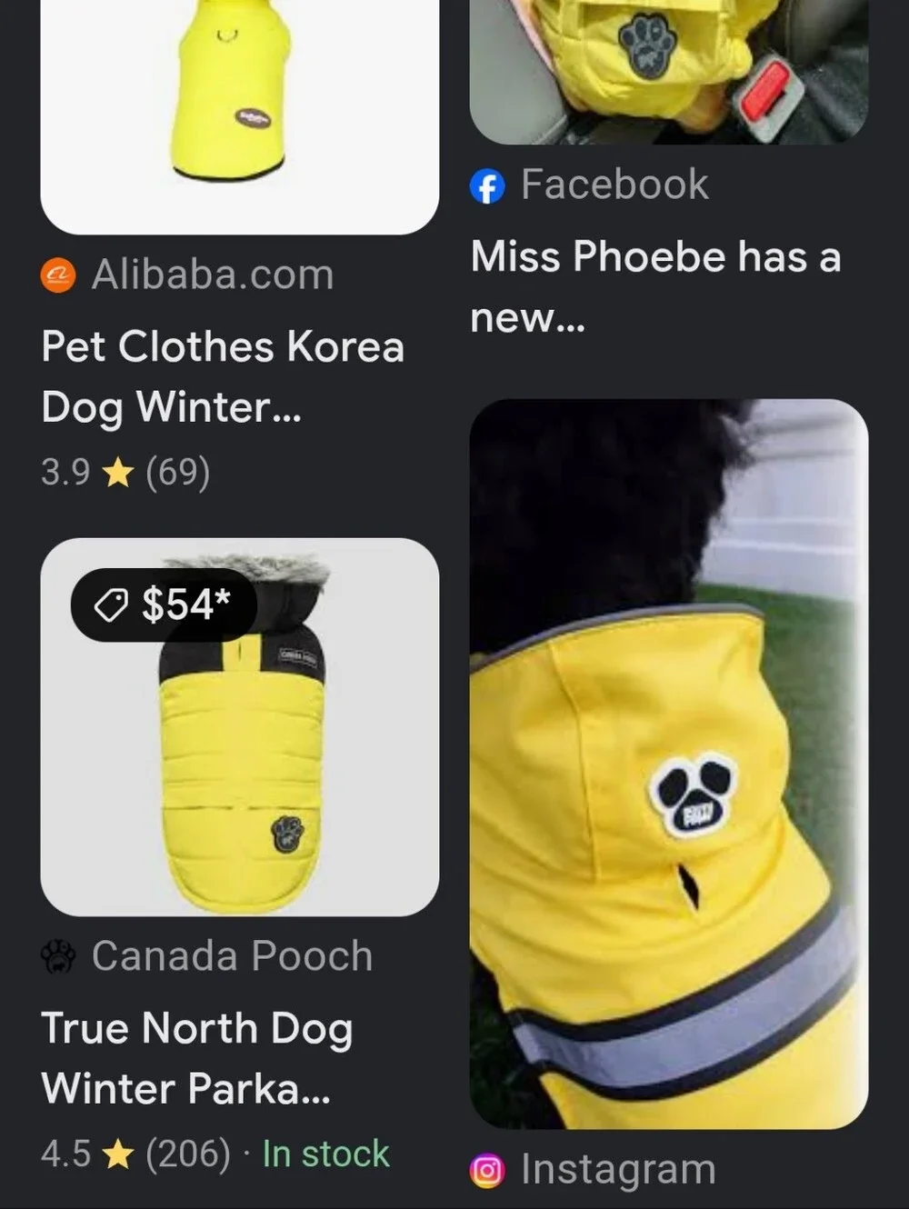 Canada Pooch trendy use warm