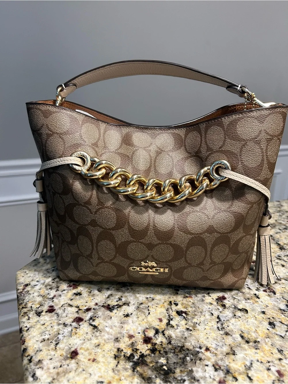 Coach hobo bag
