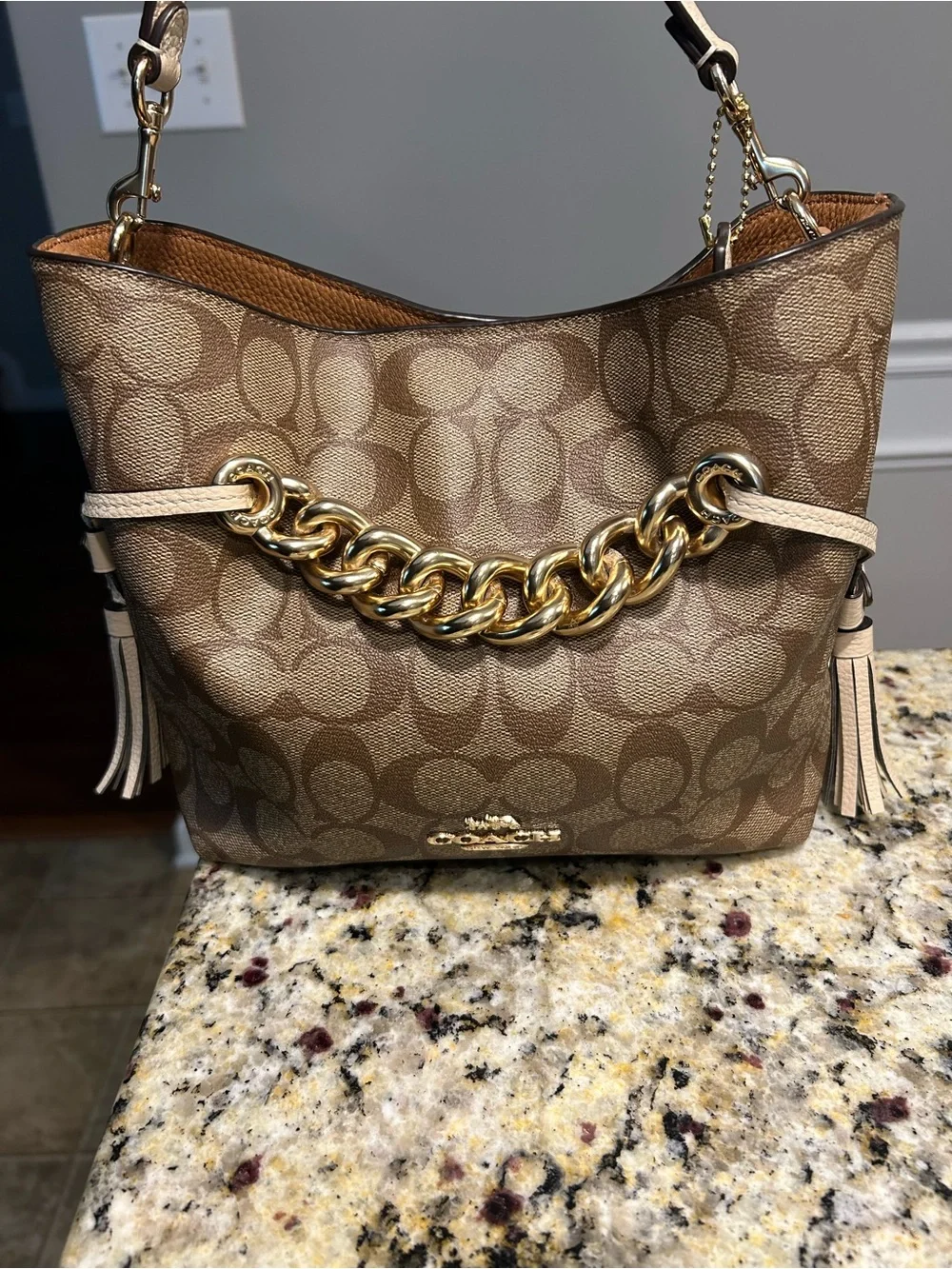 Coach hobo bag
