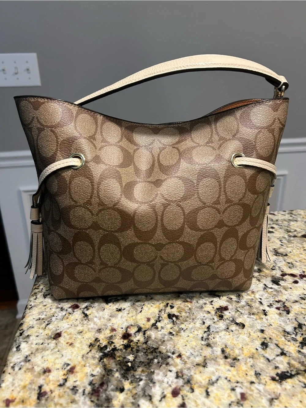 Coach hobo bag