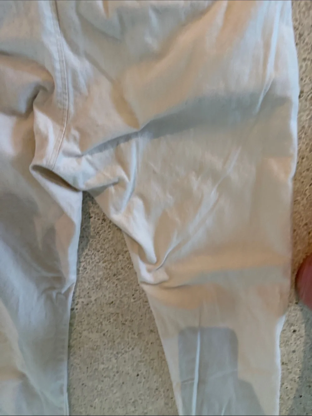 J. Crew crew 484