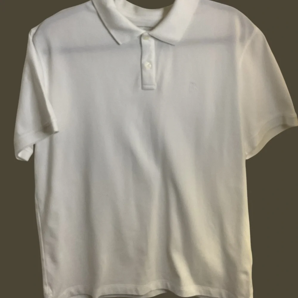 Banana Republic sleek stylish