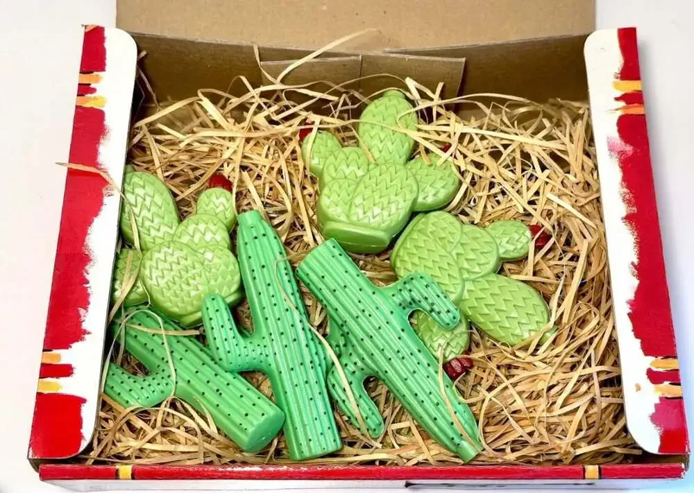 Vintage Prickly‎ Pair String Lights Cactus 0pc – New Open Box