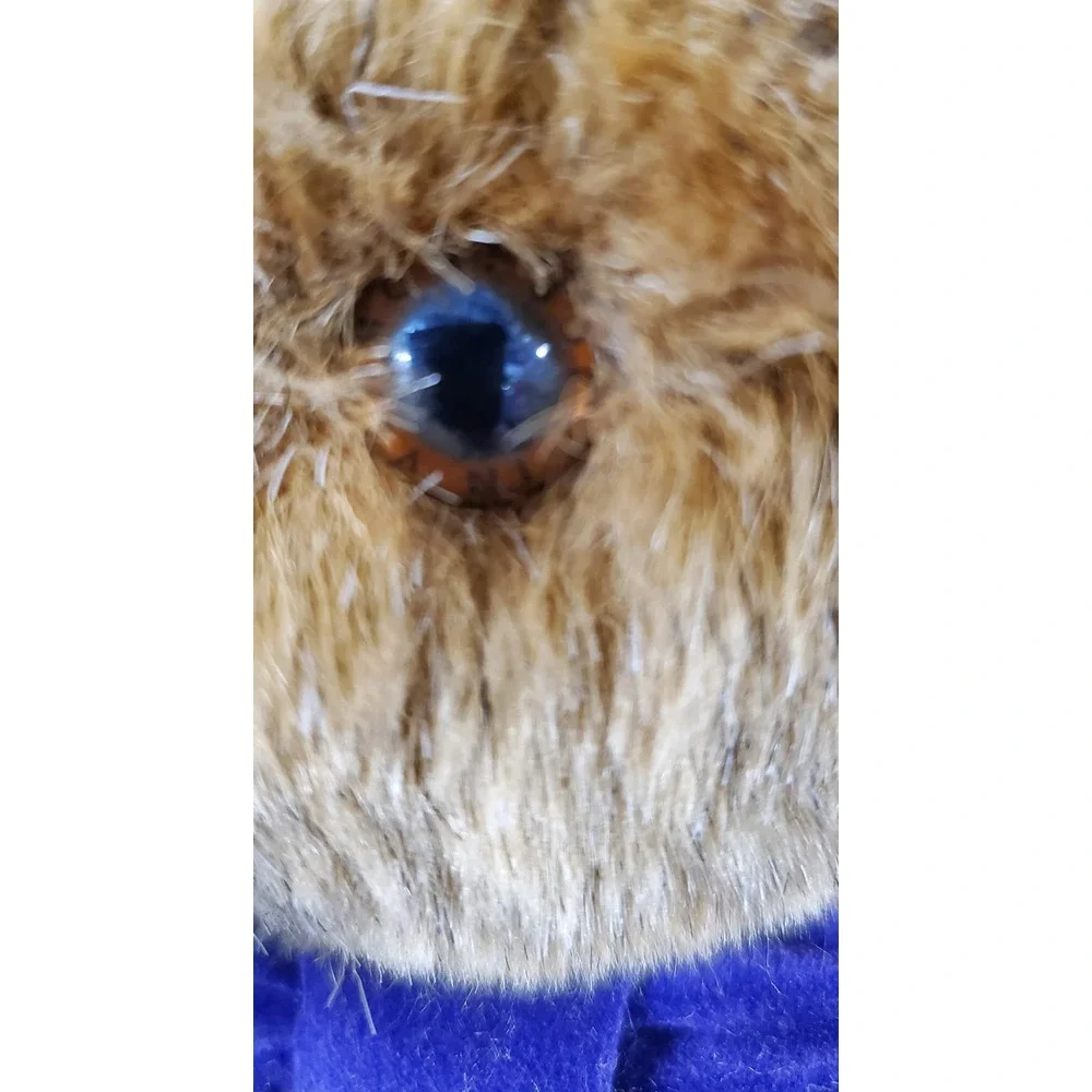 The Vermont‎ Teddy Bear Company Jointed Bear with Ouchy Paw