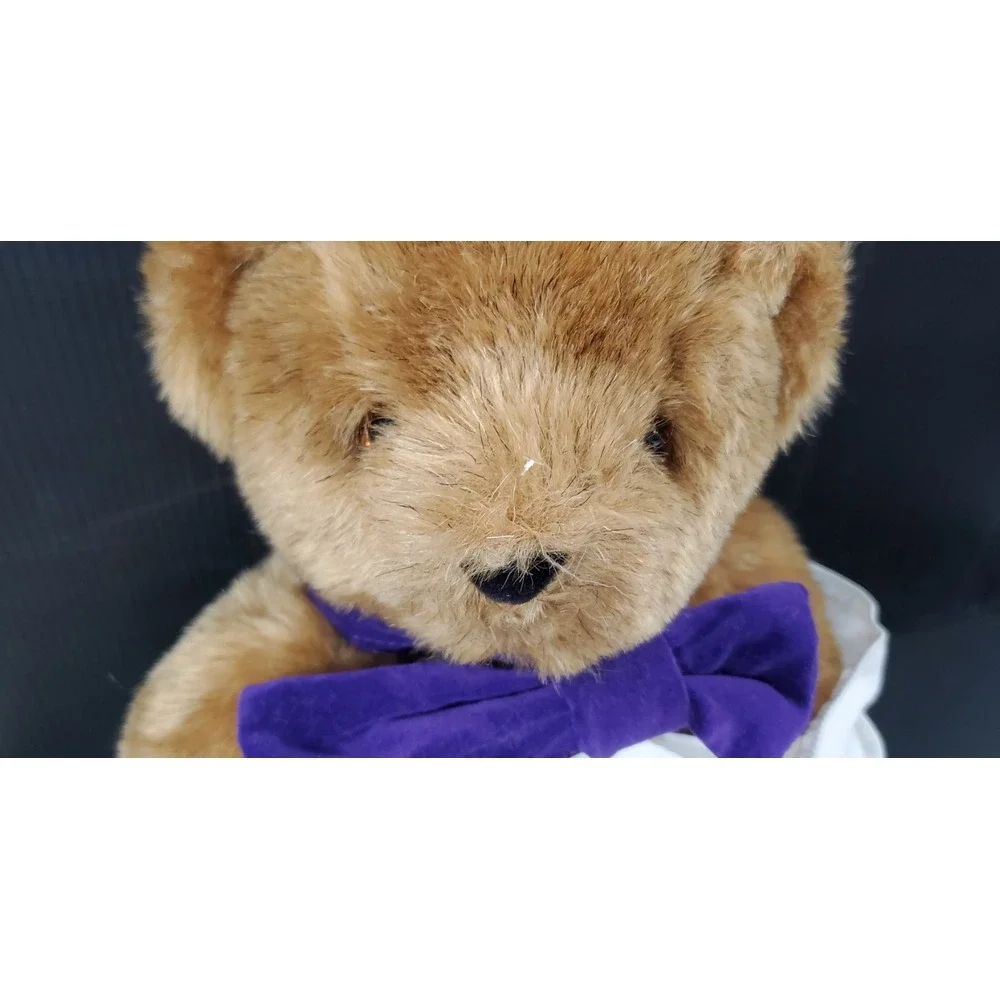 The Vermont‎ Teddy Bear Company Jointed Bear with Ouchy Paw